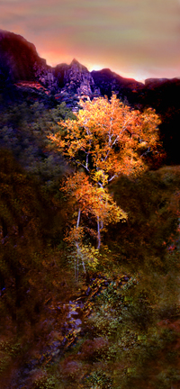 Oak Creek Canyon Arizona color Photo by Joe Hoover
