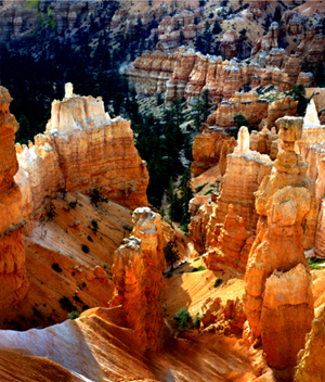 Bryce Canyon Utah color photo by Joe Hoover